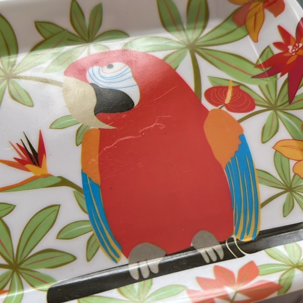 Vintage parrot trays mini - Picture 3 of 4
